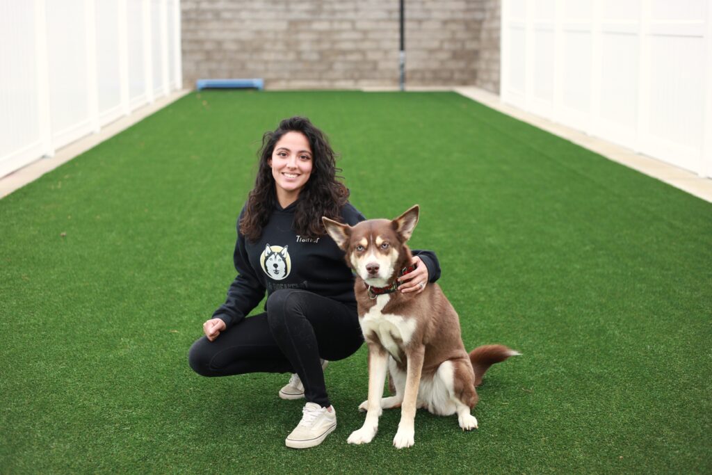 Sled and Breakfast Trainer, Bonnie