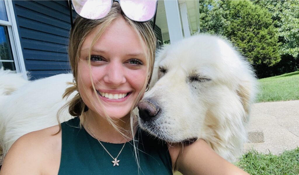 St. Louis Doggy Daycare