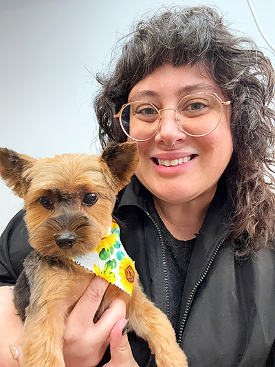 Fenton Dog Grooming