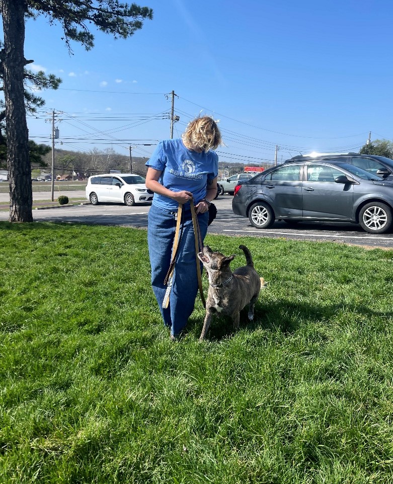 Fenton Dog Training