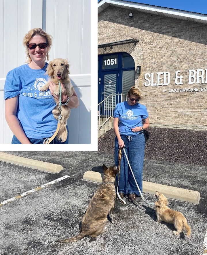 St Louis Dog Training